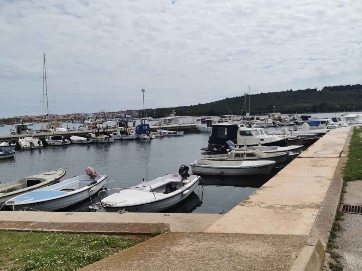 Black Pearl - Luxury Seaside App With Pool & Bbq, Istra Banjole Eksteriør bilde