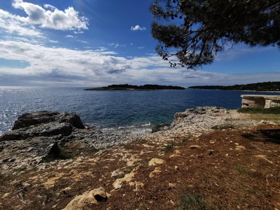 Black Pearl - Luxury Seaside App With Pool & Bbq, Istra Banjole Eksteriør bilde