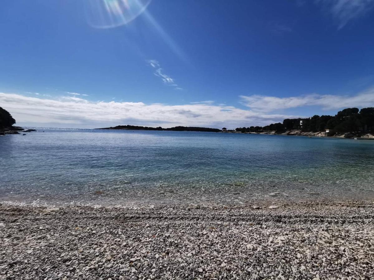 Black Pearl - Luxury Seaside App With Pool & Bbq, Istra Banjole Eksteriør bilde