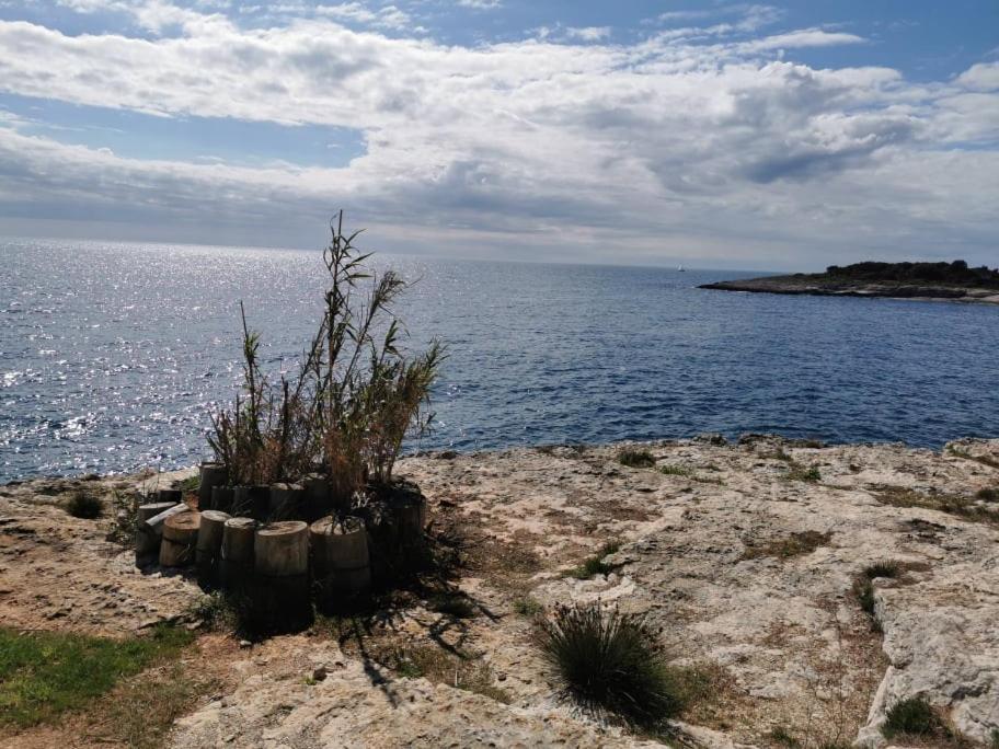 Black Pearl - Luxury Seaside App With Pool & Bbq, Istra Banjole Eksteriør bilde