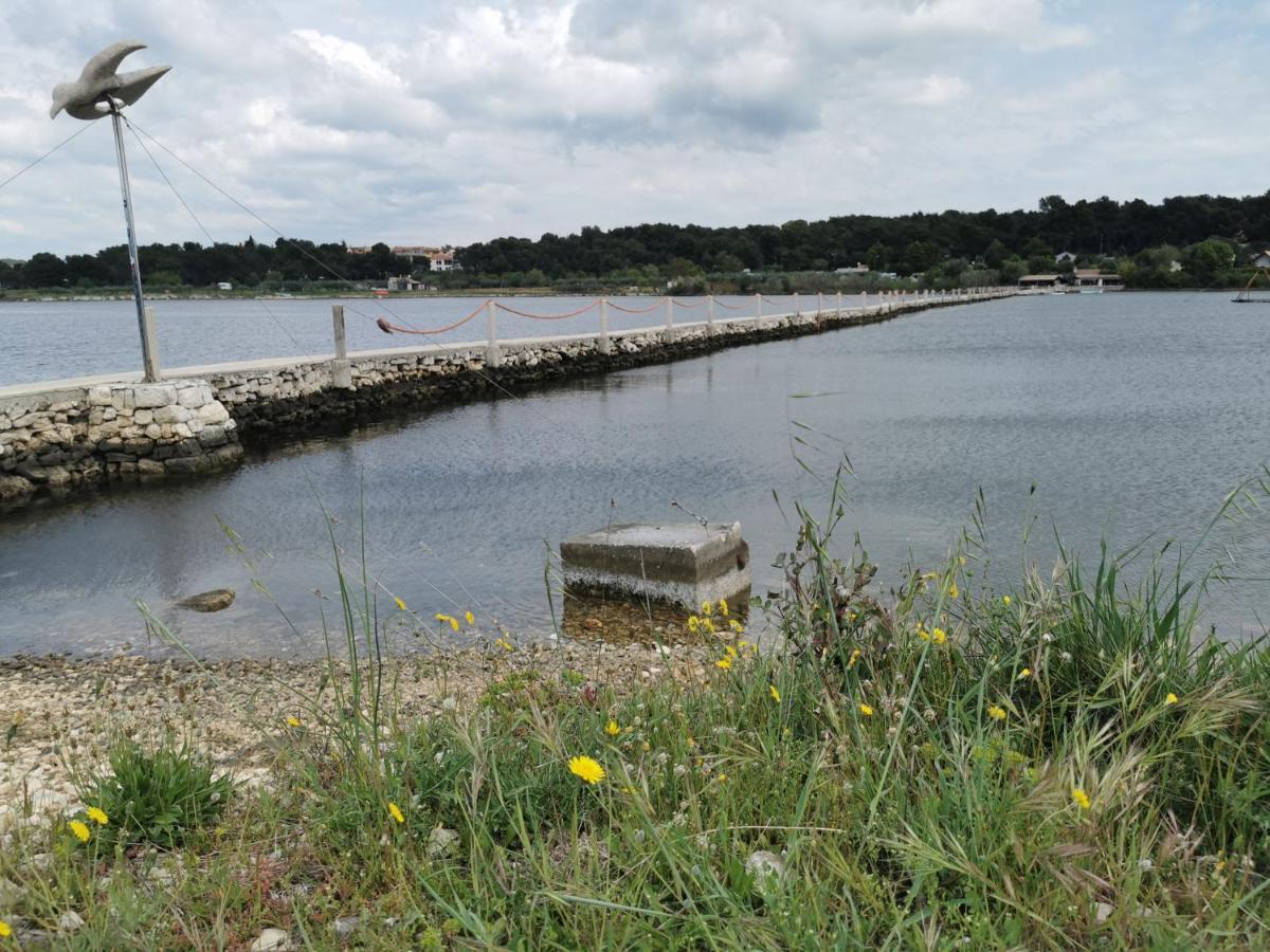 Black Pearl - Luxury Seaside App With Pool & Bbq, Istra Banjole Eksteriør bilde